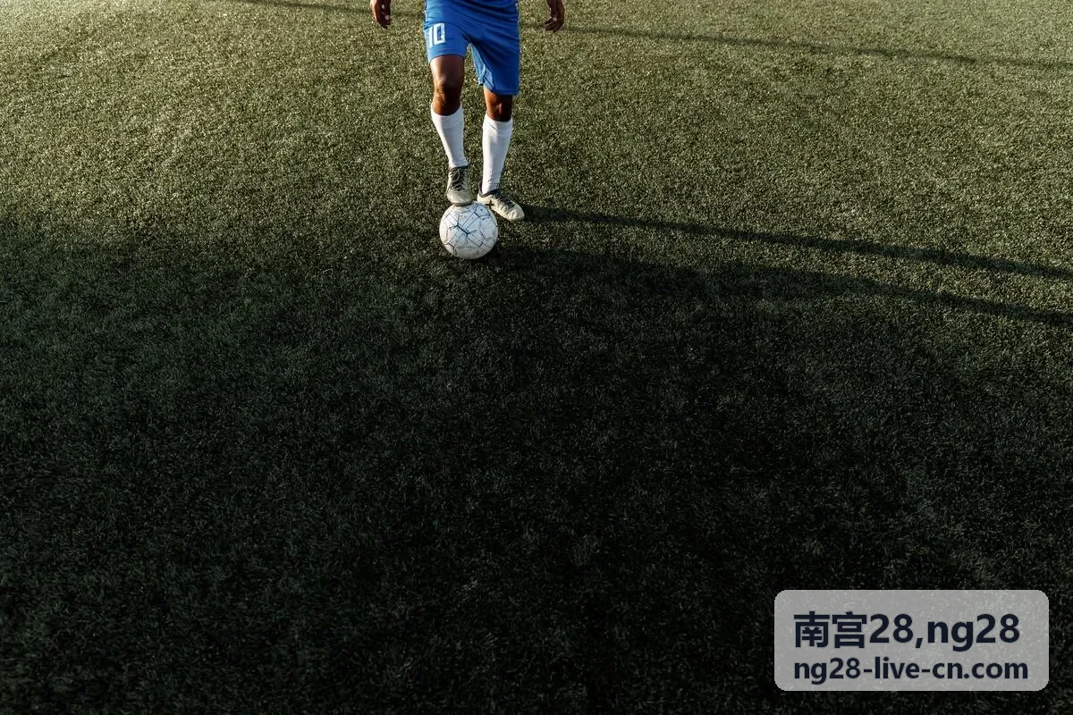 南宫28 NG28 区域服务企业案例展示图